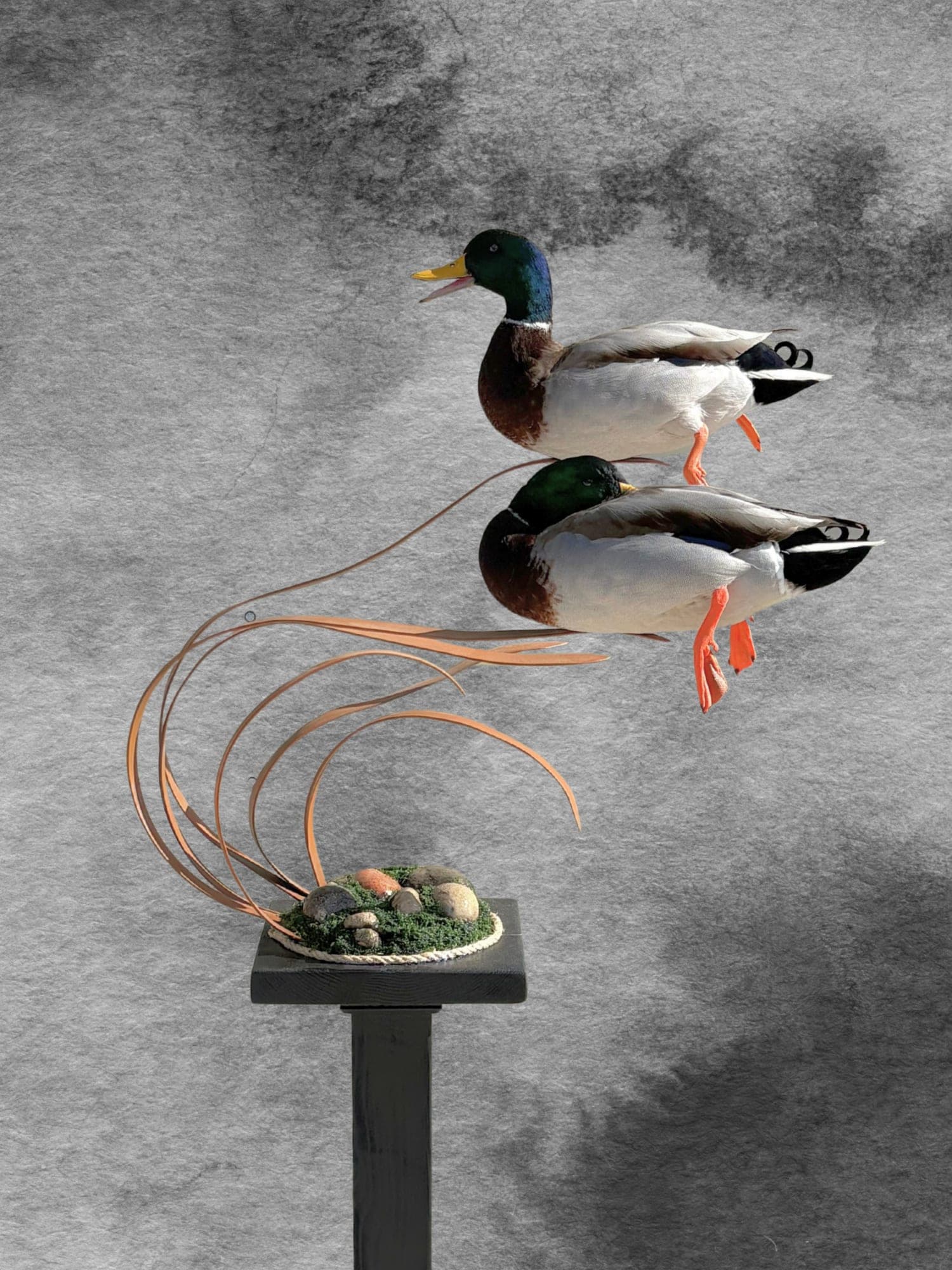 Mallard pair custom pedestal display