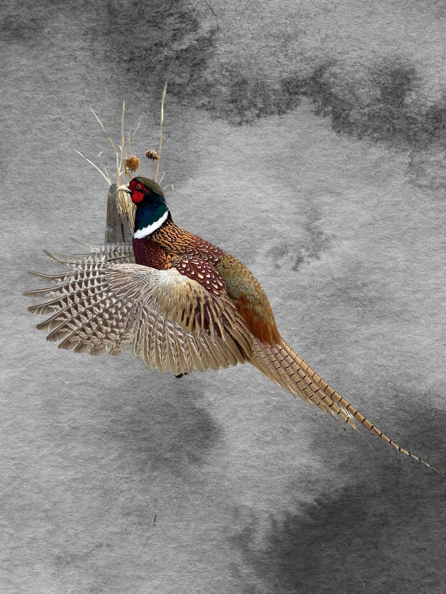 Ring-necked pheasant flush mount