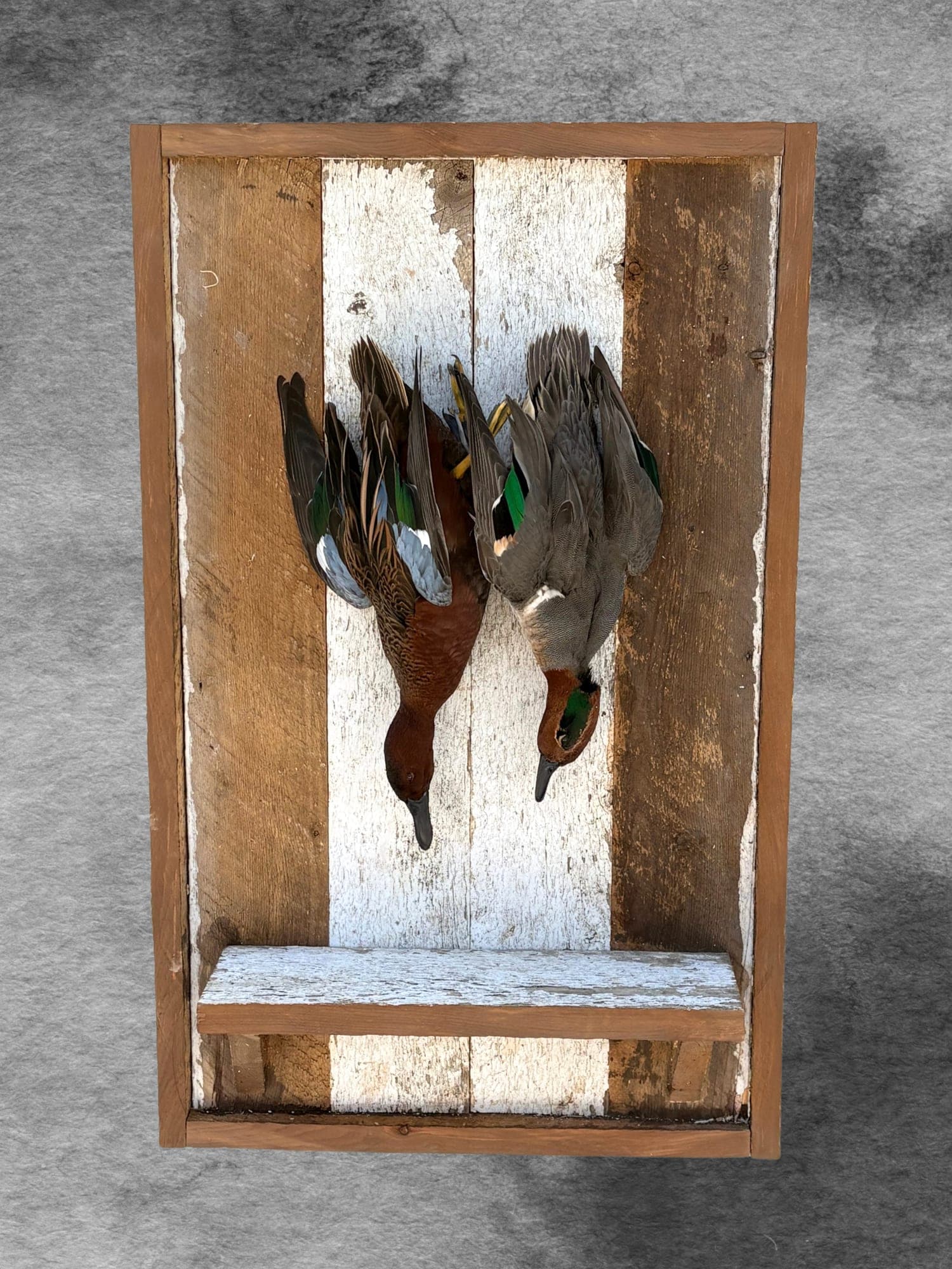 Teal Pair